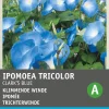 Intratuin Trichterwinde (Ipomoea tricolor 'Clark's Blue') Blumensamen| Saatgut|Blühende Pflanzen