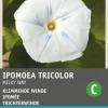 Intratuin Trichterwinde weiß (Ipomoea tricolor 'Milky Way') Blumensamen| Saatgut|Blühende Pflanzen