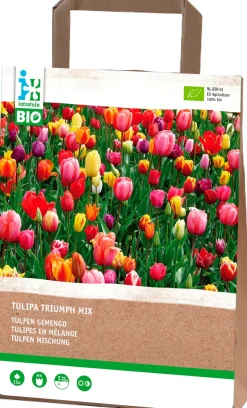 Intratuin Tulp (Tulipa 'Triumph') gemischt (BIO) Blumenzwiebeln 15 St.| Frühlings-Blüher|Blumenzwiebeln
