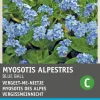 Intratuin Vergissmeinnicht (Myosotis alpestris 'Blue ball') Blumensamen| Saatgut|Blühende Pflanzen