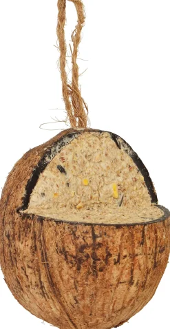 Intratuin Vogelfutter Kokosnuss D 9,2 cm H 10 cm| Gartenvögel|Vogelfutter