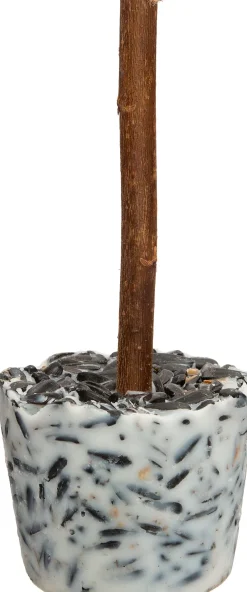 Intratuin Vogelfutter Lolly 16 x 6,4 x 15,9 cm 3 St.| Gartenvögel|Vogelfutter