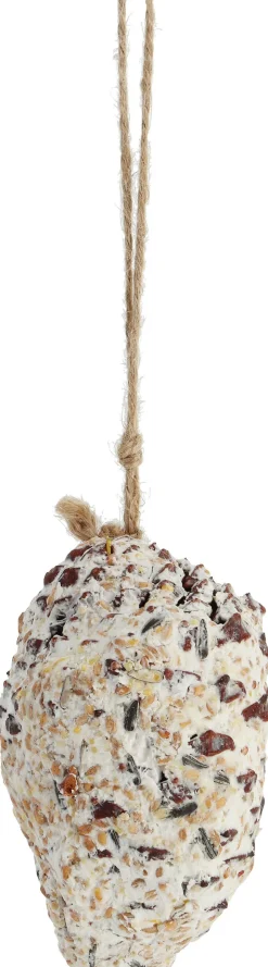 Intratuin Vogelfutter Tannenzapfen D 5 cm H 8 cm| Gartenvögel|Vogelfutter