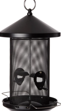 Intratuin Vogelfutterspender schwarz D 19 H 28,5 cm| Gartenvögel|Vogelfutterhäuser