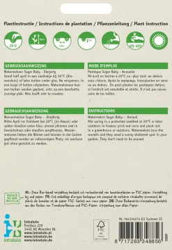 Intratuin Wassermelone (Citrullus lanatus 'Sugar Baby') Samen| Obstsamen|Saatgut