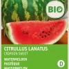 Intratuin Wassermelone Samen (Citrullus lanatus 'Crimson Sweet') (BIO) Samen| Obstsamen|Saatgut