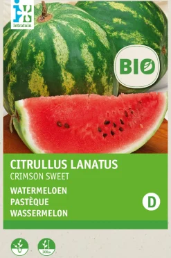 Intratuin Wassermelone Samen (Citrullus lanatus 'Crimson Sweet') (BIO) Samen| Obstsamen|Saatgut