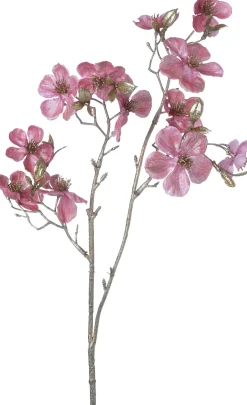 Intratuin Weihnachtsblume Pfirsichblüte rosa H 50 cm| Weihnachtszweige & -Blumen