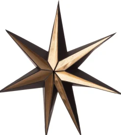 Intratuin Weihnachtsstern schwarz 50 x 10 x 50 cm| Weihnachtssterne