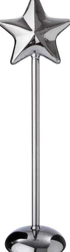 Intratuin Weihnachtsstern Liam grau mit Beleuchtung D 9,3 H 37 cm| Weihnachtssterne