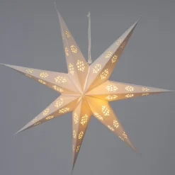 Intratuin Weihnachtsstern weiß mit Beleuchtung D 60 H 10 cm| Weihnachtssterne