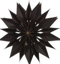 Intratuin Weihnachtsstern schwarz 50 x 7,5 x 50 cm| Weihnachtssterne
