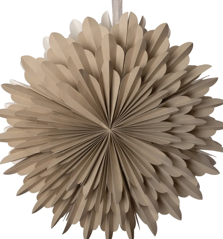 Intratuin Weihnachtsstern beleuchtet D 50 cm creme| Weihnachtssterne