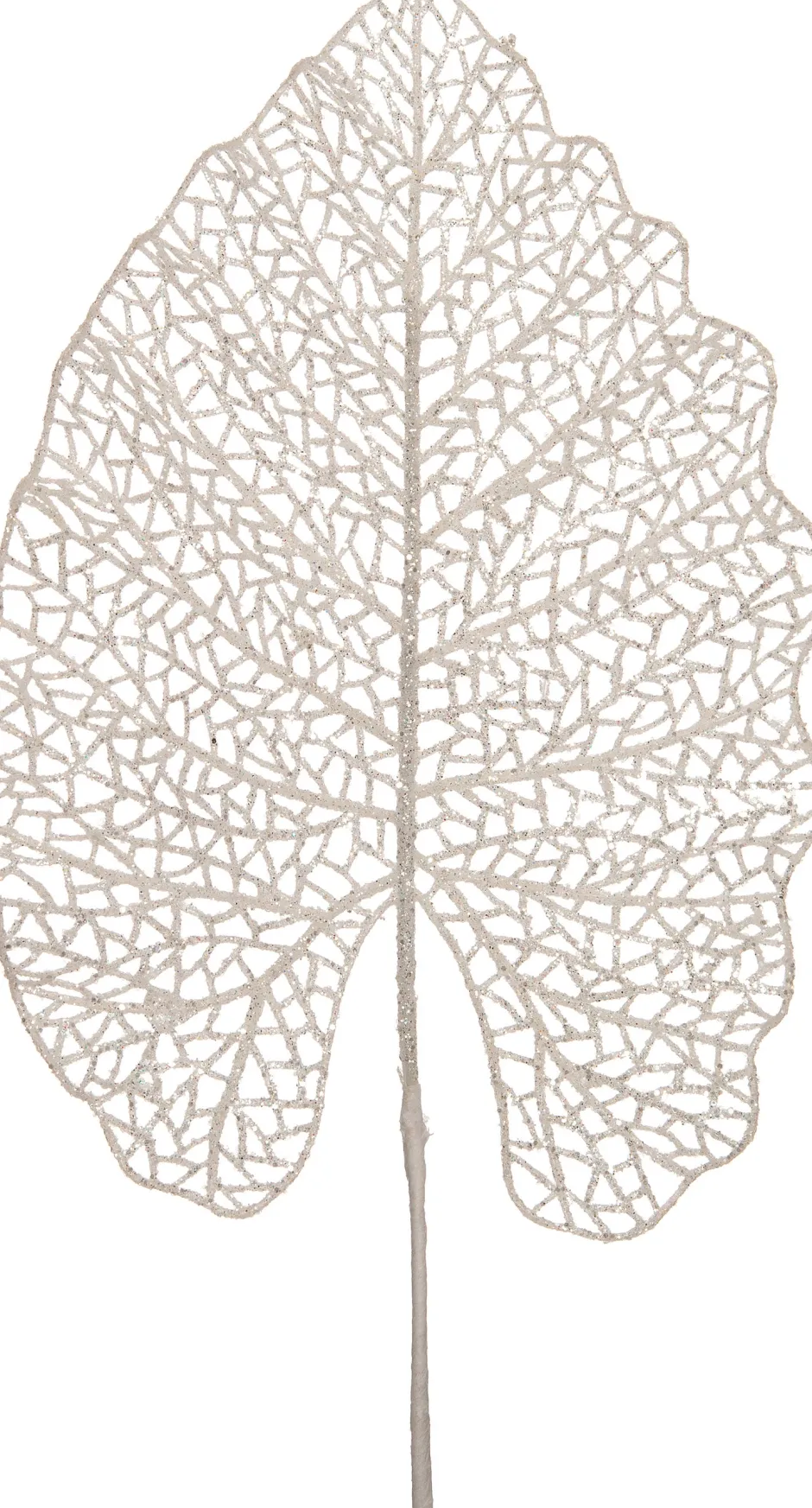 Intratuin Weihnachtszweig Alocasia mit Glitzer weiß 48 cm| Weihnachtszweige & -Blumen