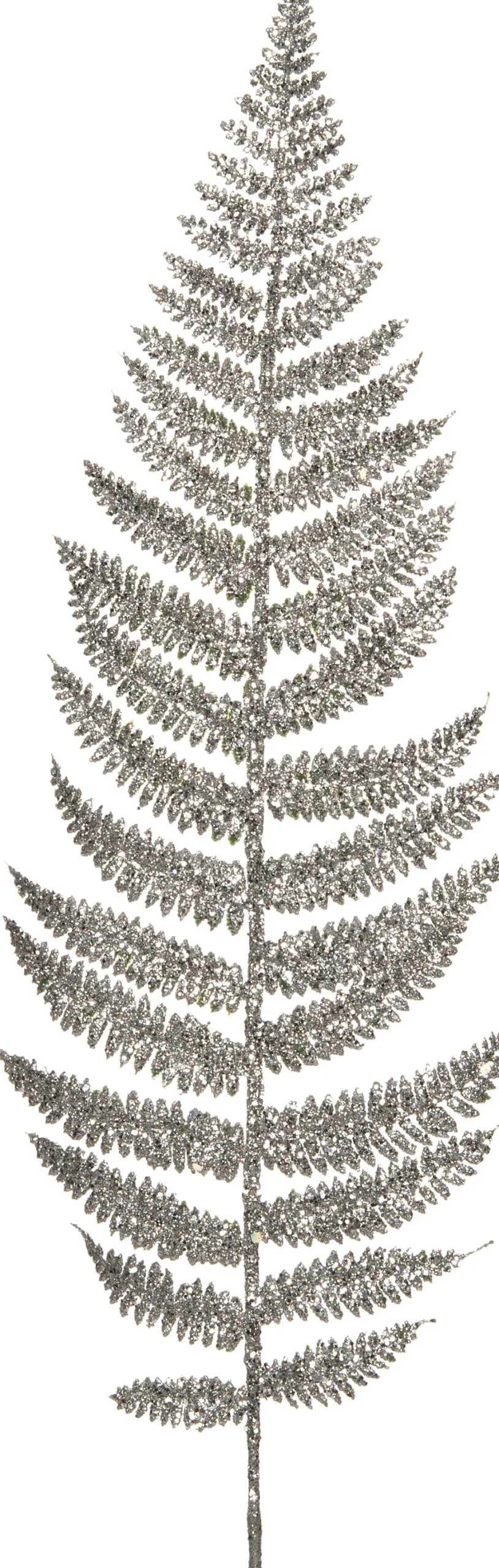 Intratuin Weihnachtszweig Farnblatt mit Glitzer silber 67 cm| Weihnachtszweige & -Blumen