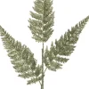 Intratuin Weihnachtszweig Farnblatt mit Glitzer hellgrün 63 cm| Weihnachtszweige & -Blumen