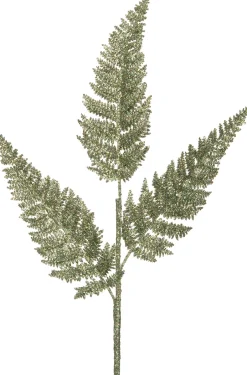 Intratuin Weihnachtszweig Farnblatt mit Glitzer hellgrün 63 cm| Weihnachtszweige & -Blumen
