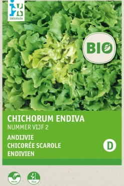 Intratuin Winterendivie (Cichorium endivia 'Eskariol Grüner') (BIO) Samen| Gemüsesamen|Saatgut