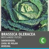 Intratuin Wirsing (Brassica oleracea 'Brüsseler Winter') Samen| Gemüsesamen|Saatgut