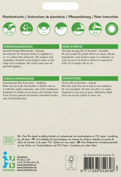 Intratuin Zichoriensalat (Cichorium intybus 'Pan Di Zucchero') Samen| Gemüsesamen|Saatgut