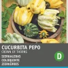 Intratuin Zierkürbis (Cucurbita 'Crown of Thorns') Samen| Gemüsesamen|Saatgut
