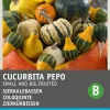 Intratuin Zierkürbis (Cucurbita pepo) Samen-Mischung| Gemüsesamen|Saatgut