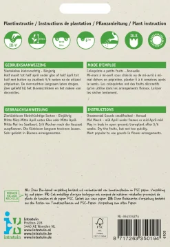 Intratuin Zierkürbis klein (Cucurbita pepo) Samen-Mischung| Gemüsesamen|Saatgut