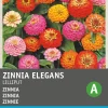 Intratuin Zinnie (Zinnia elegans 'Pompon') Blumensamen-Mischung| Saatgut|Blühende Pflanzen