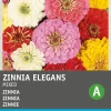 Intratuin Zinnie (Zinnia elegans) Blumensamen-Mischung| Saatgut|Blühende Pflanzen