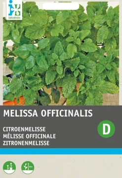 Intratuin Zitronenmelisse (Melissa officinalis) Samen| Kräutersamen|Saatgut