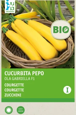 Intratuin Zucchine gelb (Cucurbita pepo 'Ola Gabriella') (BIO) Samen| Gemüsesamen|Saatgut