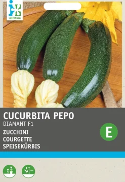 Intratuin Zucchini (Cucurbita pepo 'Diamant F1 hybride') Samen| Gemüsesamen|Saatgut