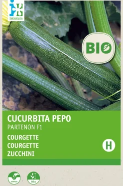 Intratuin Zucchini (Curcurbita pepo 'Partenon F1') (BIO) Samen| Gemüsesamen|Saatgut