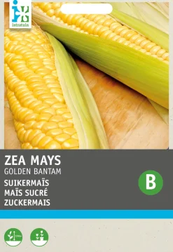 Intratuin Zuckermais (Zea mays 'Golden Bantam') Samen| Gemüsesamen|Saatgut