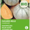 Intratuin Zuckermelone (Cucumis melo 'Charentails') (BIO) Samen| Obstsamen|Saatgut