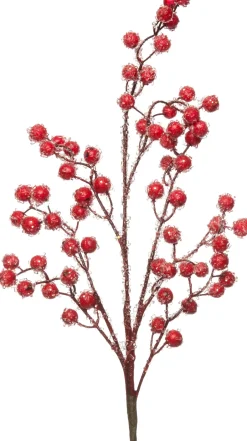 Intratuin Zweig mit Beeren 45 cm rot| Weihnachtszweige & -Blumen