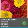 Intratuin Zwerg-Zinnie (Zinnia elegans 'Thumbelina') Blumensamen-Mischung| Saatgut|Blühende Pflanzen