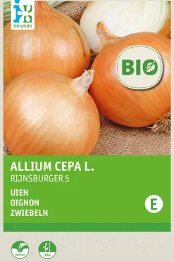 Intratuin Zwiebeln (Allium cepa 'Rijnsburger 5') (BIO) Samen| Gemüsesamen|Saatgut