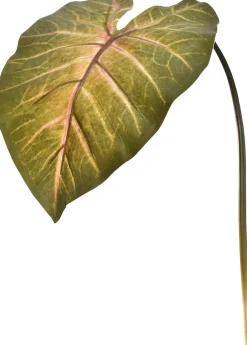 Intratuin Jasaco Kunstzweig Kaladie dunkelgrün 113 cm| Künstliche Deko-Zweige