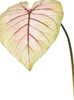 Intratuin Jasaco Kunstzweig Kaladie rosa grün 113 cm| Künstliche Deko-Zweige