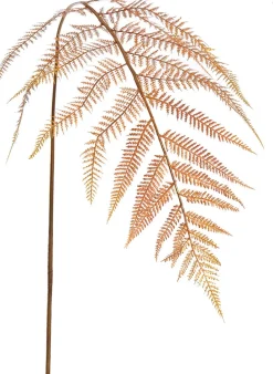 Intratuin Jasaco Pure Kunstzweig Farn 133 cm gold| Künstliche Deko-Zweige