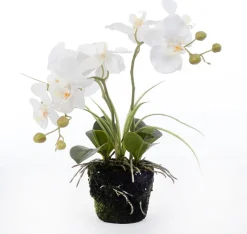 Intratuin Künstliche Orchidee (Phalaenopsis) im Topf D 43 cm weiß| Kunstpflanzen