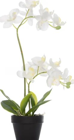 Intratuin Künstliche Orchidee (Phalaenopsis) im Topf D 16 H 35 cm weiß| Kunstpflanzen