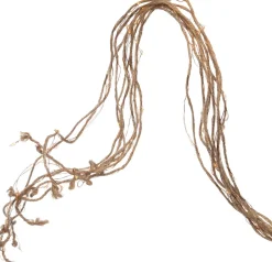 Intratuin Lichtkaskade Jute LED 8 x 2 m klassisch warm| Lichtkaskaden