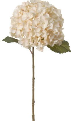 Intratuin Louis Maes Kunstblume Hortensie 66 cm creme| Kunstblumen
