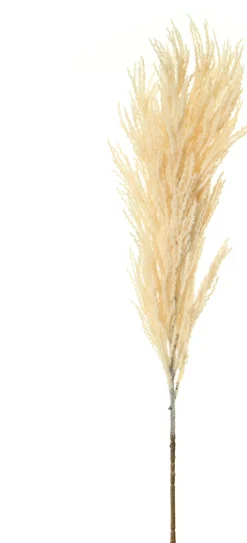 Intratuin Louis Maes Kunstzweig Pampasgras 90 cm creme| Künstliche Deko-Zweige