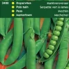 Intratuin Markerbsen (Pisum sativum 'Mechelner') Samen| Gemüsesamen|Saatgut