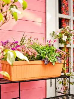 Intratuin Mega Collections Balkonkasten Floreira terrakotta 40 x 19 x 17 cm| Balkonkästen|Blumentöpfe & Pflanzgefäße