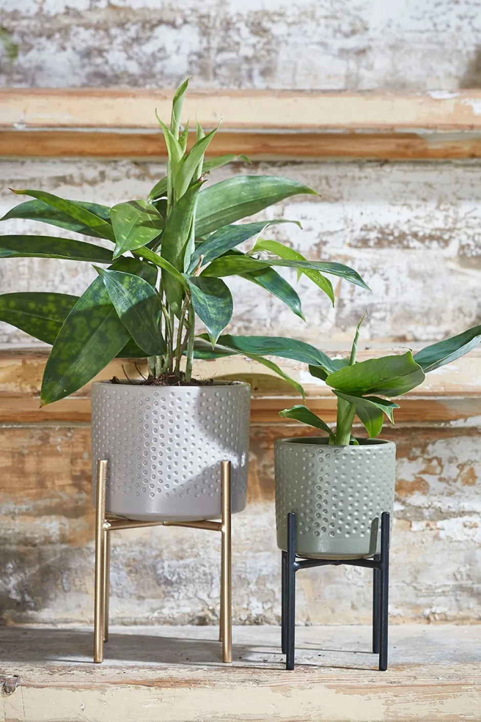 Intratuin Mica Decorations Blumentopf-Ständer Ascot gold D 8,5 cm H 9,5 cm| Blumenständer