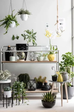 Intratuin Mica Decorations Blumentopf-Ständer Ascot schwarz D 13,5 cm H 14 cm| Blumenständer